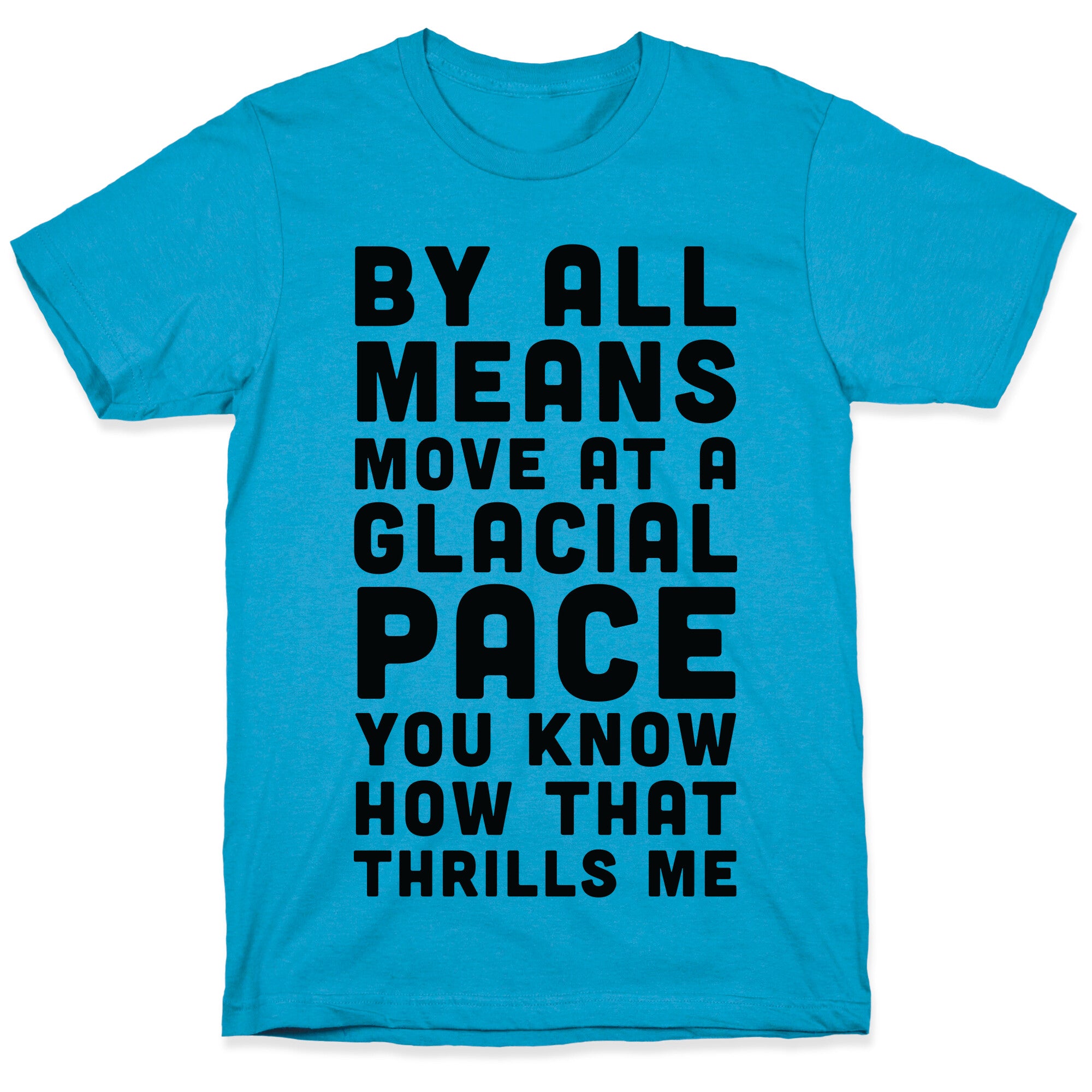 By All Means Move at a Glacial Pace You Know How That Thrills Me Unisex Triblend Tee